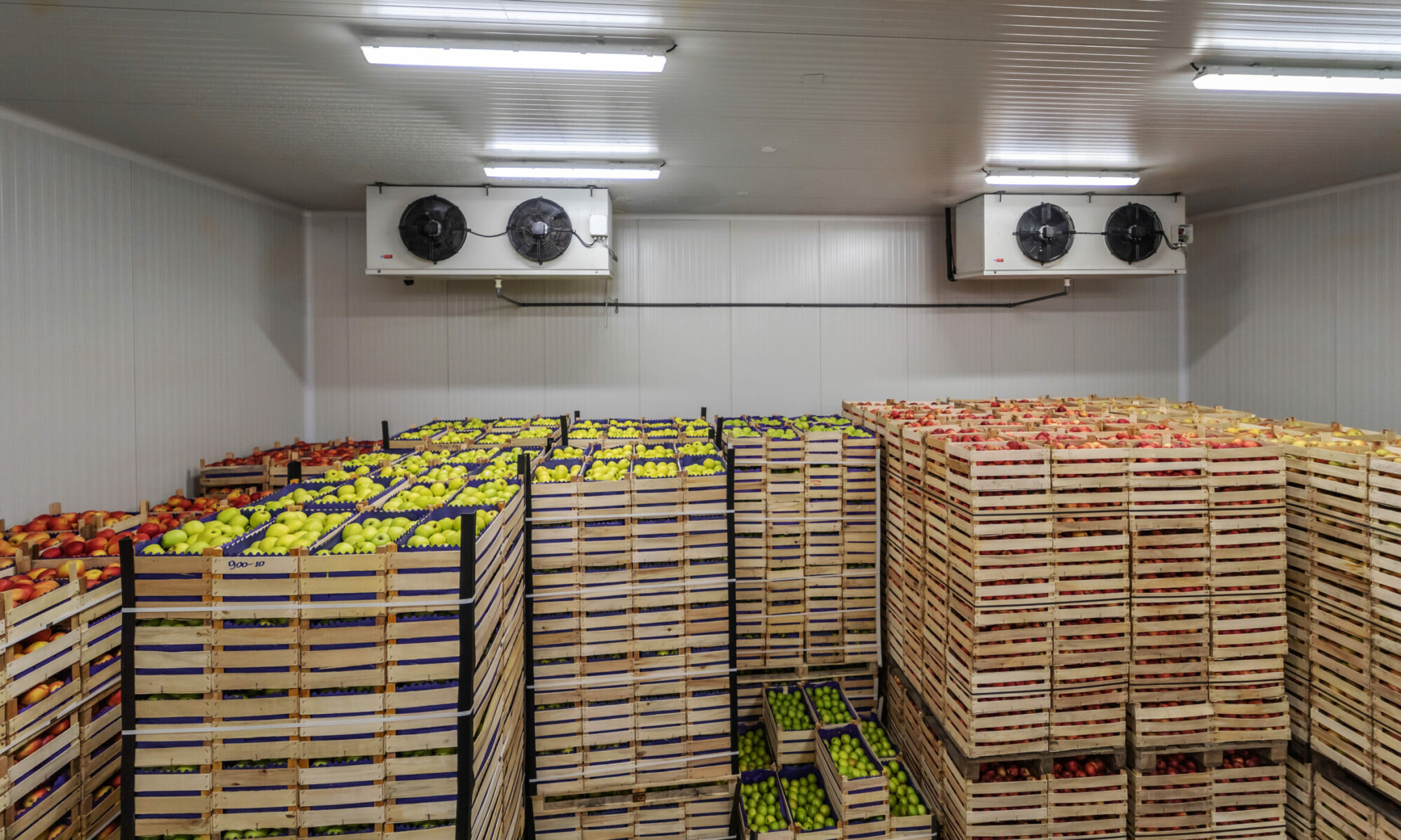 Fruits in crates ready for shipping. Cold storage interior. Fruits in crates ready for shipping. Cold storage interior.