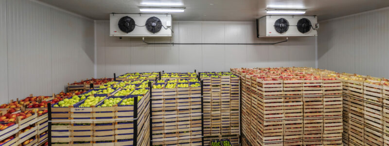 Fruits in crates ready for shipping. Cold storage interior. Fruits in crates ready for shipping. Cold storage interior.