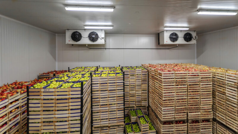 Fruits in crates ready for shipping. Cold storage interior. Fruits in crates ready for shipping. Cold storage interior.